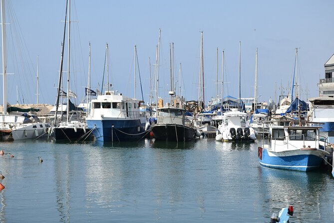 Tel Aviv, Yaffo and Tel Aviv Skyline Tour - Overall Rating and Recommendations