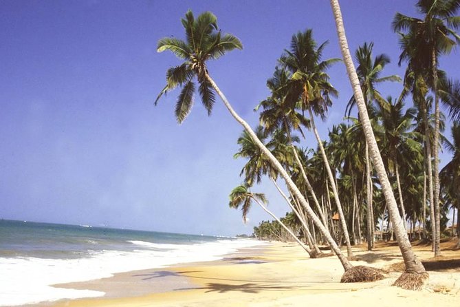 The Best Of Cape Coast Tour - Recommended Preparation