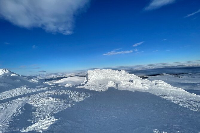 The Best of Sofia: Magical Snowshoeing Adventure in Vitosha & SPA - Memorable Moments and Photographic Opportunities