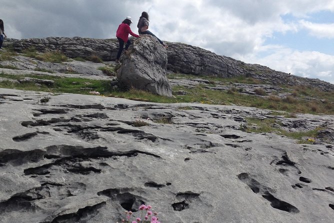 The Cliffs of Moher and Burren National Park Private Tour. - Burren National Park