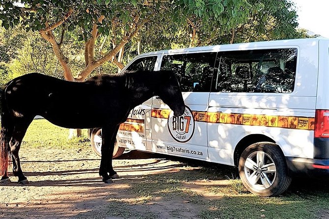 The Garden Route From Port Elizabeth to the Crags - FD07 - Traveler Reviews