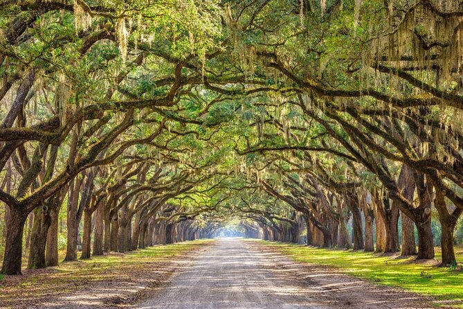 The History Buff: Private Savannah Walking Tour - Insider Tips for Savannah