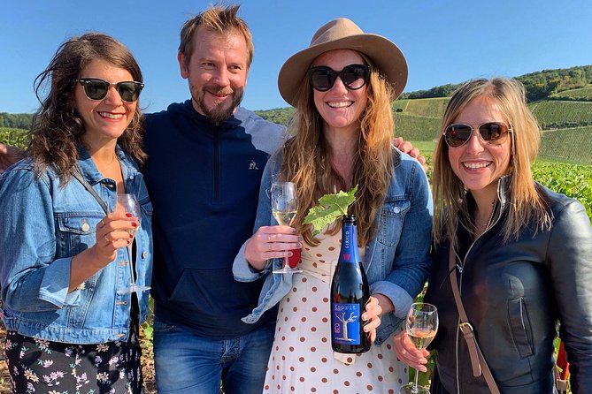 The Must-Sees 3h30 From Epernay (Private Half Day Champagne Tour) - Tour Accessibility and Cancellation Policy