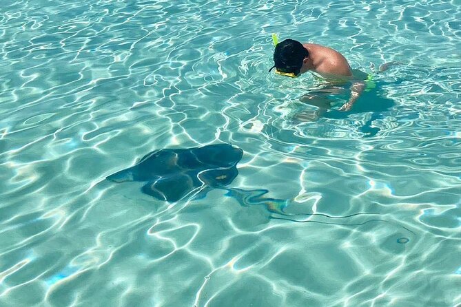 The Sky Cozumel Snorkeling by Private Boat - Underwater Photography and Souvenirs