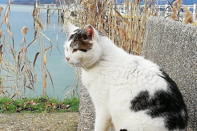 The Spell of Lake Trasimeno - Trekking Tour - Refueling and Refreshments