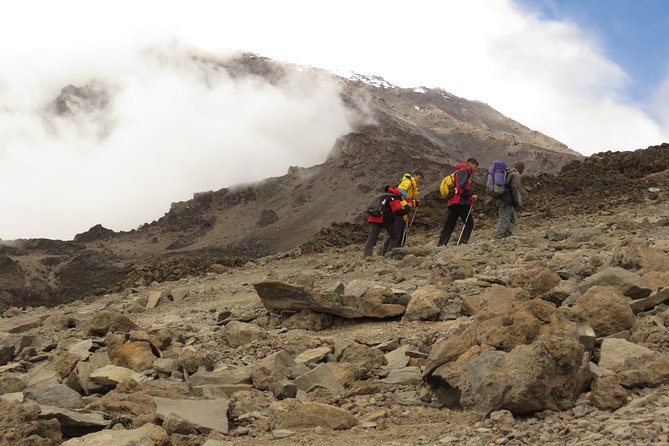 The Ultimate 8-Day Lemosho Route Climbing Kilimanjaro - Frequently Asked Questions