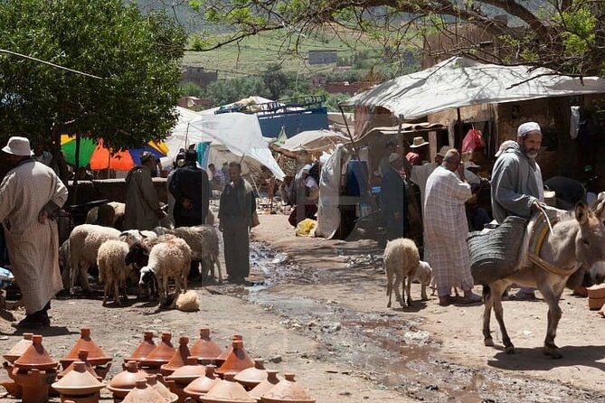 Three Valleys of Atlas Mountains Day Tour From Marrakesh - Breathtaking Waterfalls and Scenery