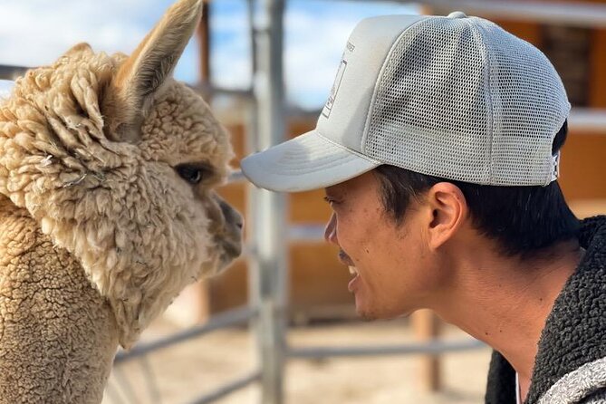 Tickets to Nature Health Farms Petting Zoo, Antique Store & Hemp Farm in Pahrump - Addressing Operational Challenges