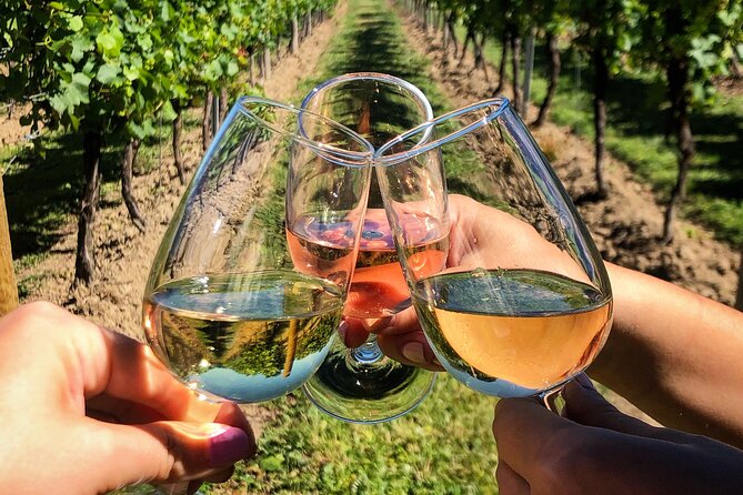 Tirana: Wine Tasting & Vineyards Escape - The Sum Up