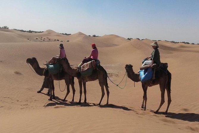 Trekking in Morocco / Atlas Mountains and Sahara Trek (5days) - Frequently Asked Questions