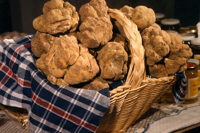 Truffle Hunting With Tasting Included - Umbria, Italy - The Sum Up