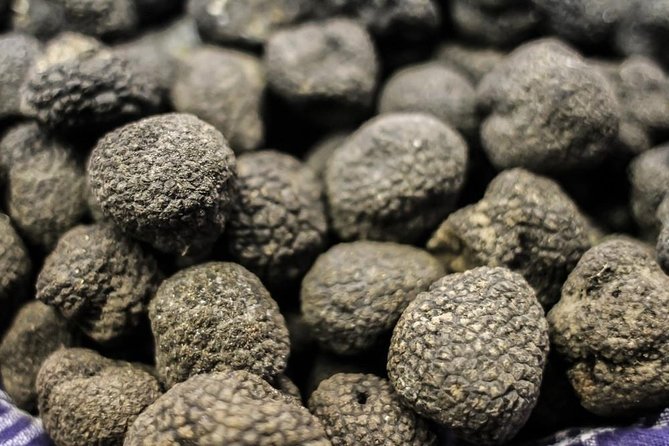 Truffle Hunting With Wine Tasting in Chianti - Tour Inclusions and Exclusions