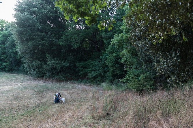 Truffle Hunting - Traveler Photography Opportunities