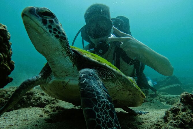 Try Scuba Diving & Snorkeling With BBQ Lunch & Transfer - Tips for a Great Adventure