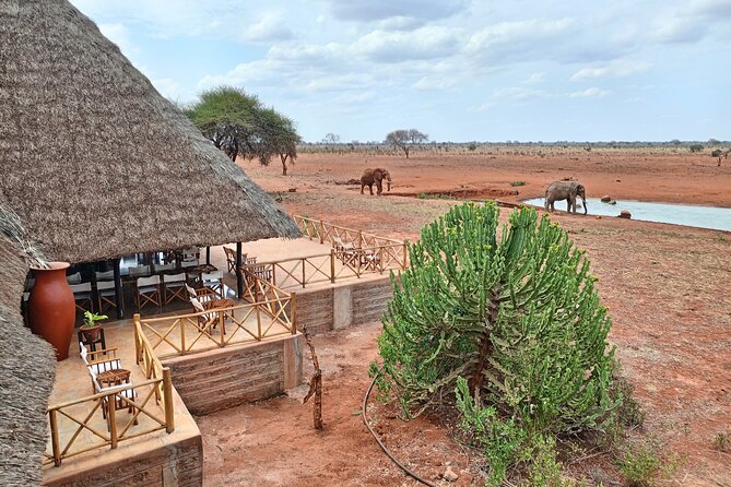 Tsavo East and Ngutuni Sanctuary Safari 3 Days From Mombasa - Reviews and Ratings of the Safari