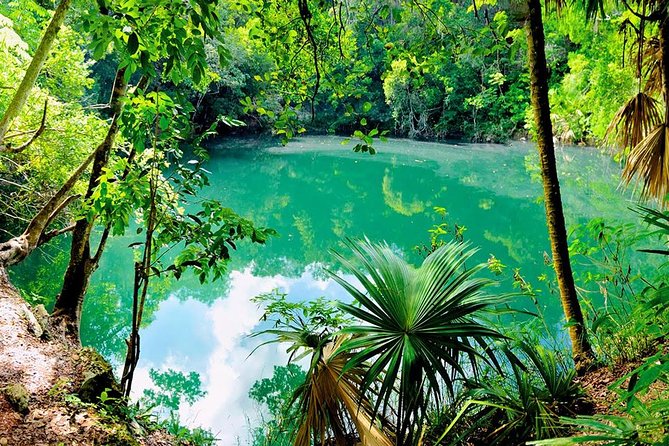 TULUM, CENOTE, MYSTIKA MUSEUM, TURTLES SNORKELING (Private) - Additional Information