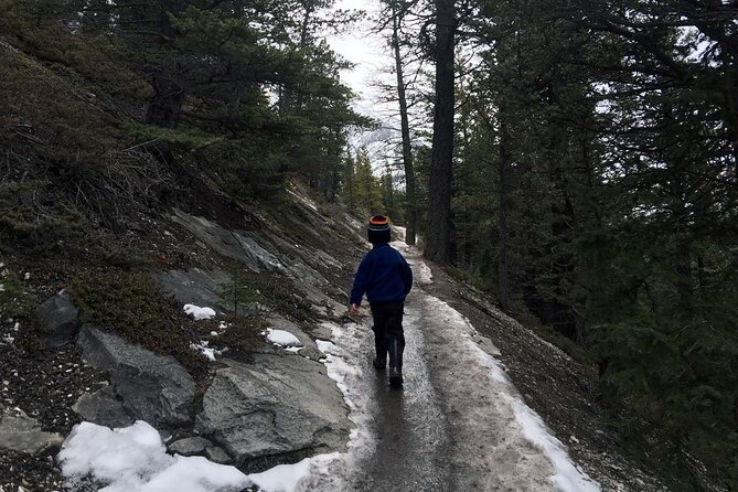 Tunnel Mountain Trail: a Smartphone Audio Nature Tour - Tips for an Enjoyable Experience