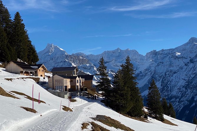 Uri Alps Customizable Full-Day Private Tour  - Lucerne - Sum Up