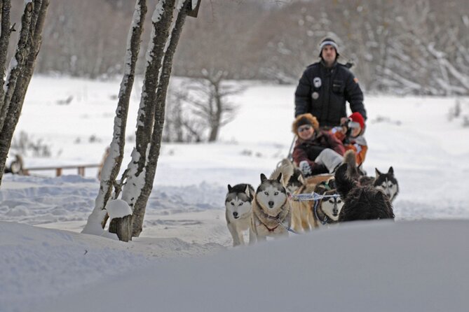 Ushuaia: Full Day Snow: Sledding With Huskies Snowmobile 4x4 - Frequently Asked Questions
