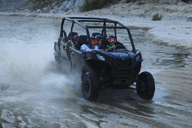 UTV 4X4 Cabo Adventure, Beach Ride & Tequila Tasting - Tequila Tasting