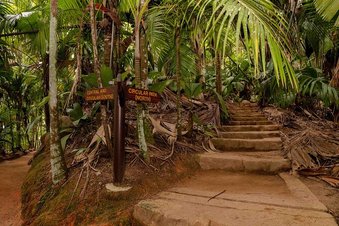 Vallee De Mai Tour (From Praslin) - Guided Identification of Palms