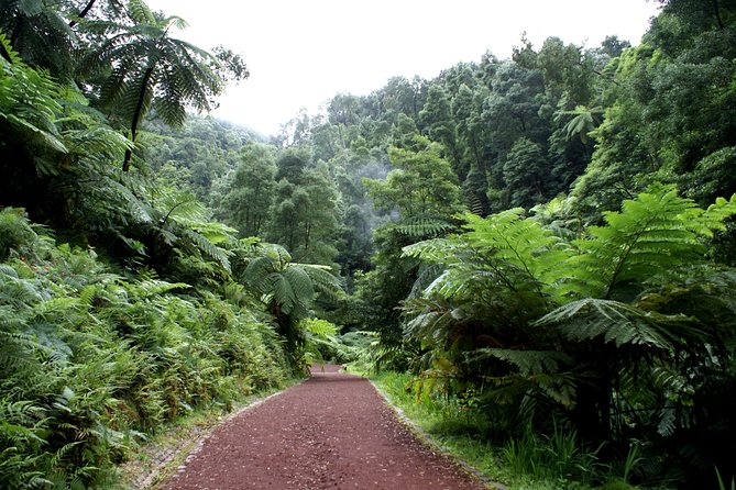 Van Tour Seven Cities + Lagoon of Fire Full-Day - Lagoa Do Fogo Visit