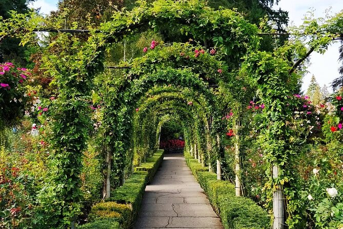 Vancouver Island 2-Day Tour 3/4/5 Star Hotel (Chinese & Eng) - Traveler Testimonials