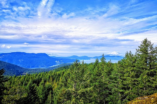 Vancouver Island Rainforest Guided Hike With Private Guide - Contact Information
