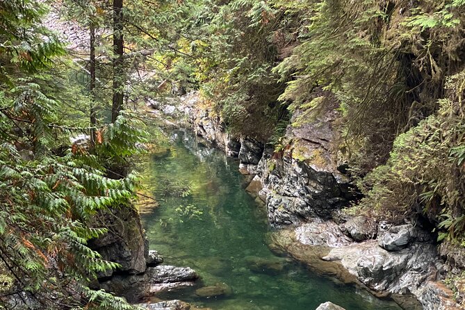 Vancouver Rainforest Hike With Waterfalls, Suspension Bridge, Old Growth Forest - Getting to the Trailhead