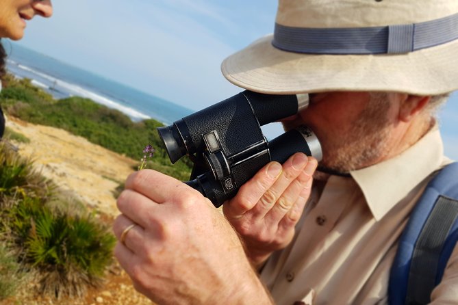 Vendicari - Sicilys Best Coast Nature Reserve ( Birdwatching & Archeology ) - Pricing and Booking Details