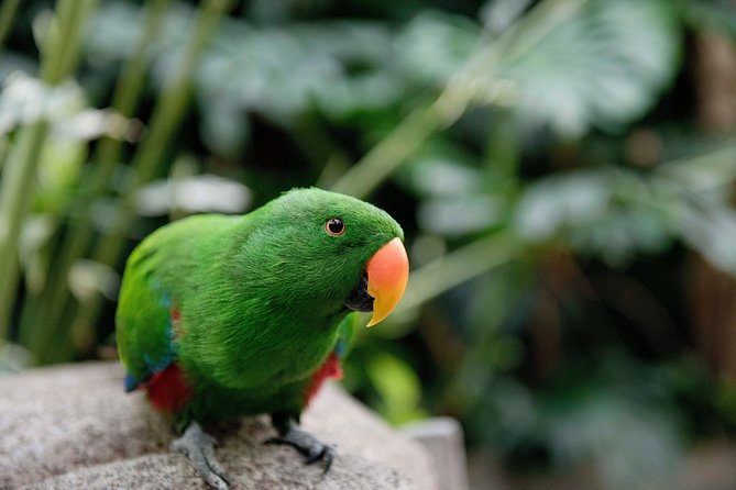 Victoria Butterfly Gardens Ticket - Getting There and Accessibility