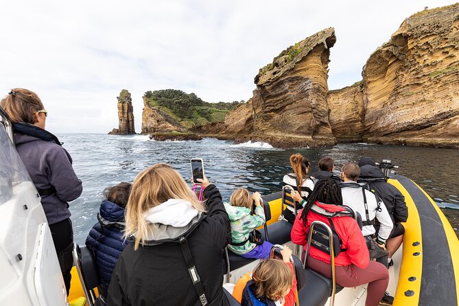 Vila Franca Islet Off-coast Nature Reserve Tour - Accessibility