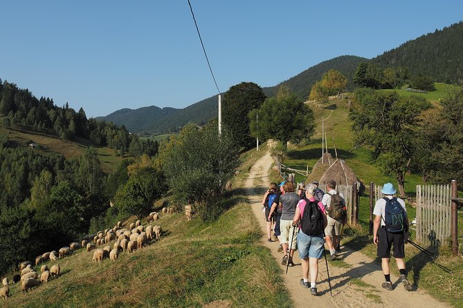 Village Life in Transylvanian Carpathian Mountains - 8 Days - Pricing and Booking Information