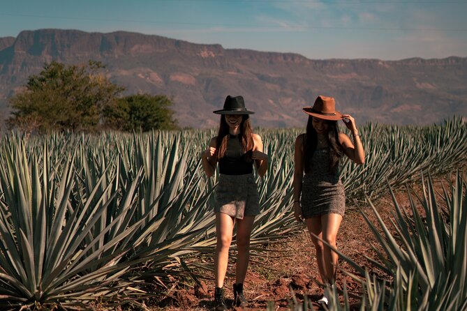 Vip Tequila Experience - Personalized Service and Atmosphere