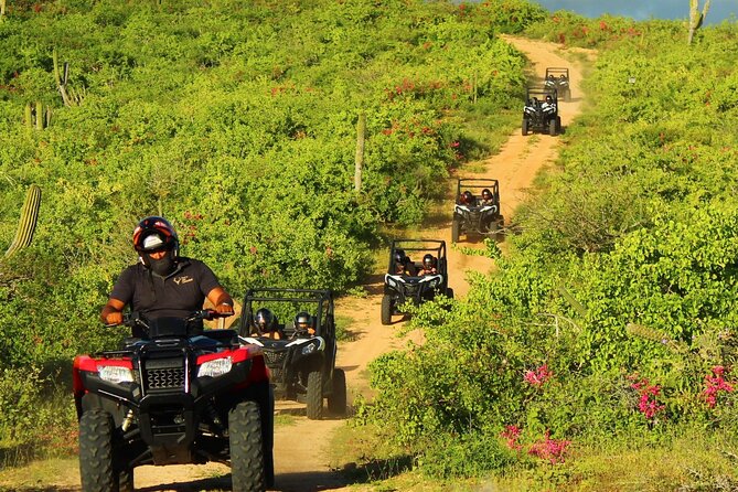 Viper Trail UTV Small-Group Experience in Cabo San Lucas - Guide Expertise and Service Quality