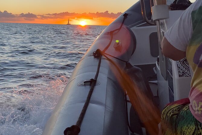 Waikiki Whale Watch: Semi-Private Boat Tour - Sum Up