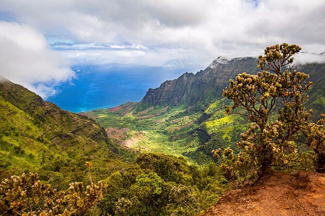 Waimea Canyon Private Tour With Local Guide - Sum Up