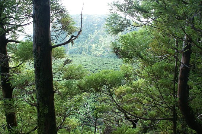 Walking Trails of Terceira - Tour Details and Inquiries