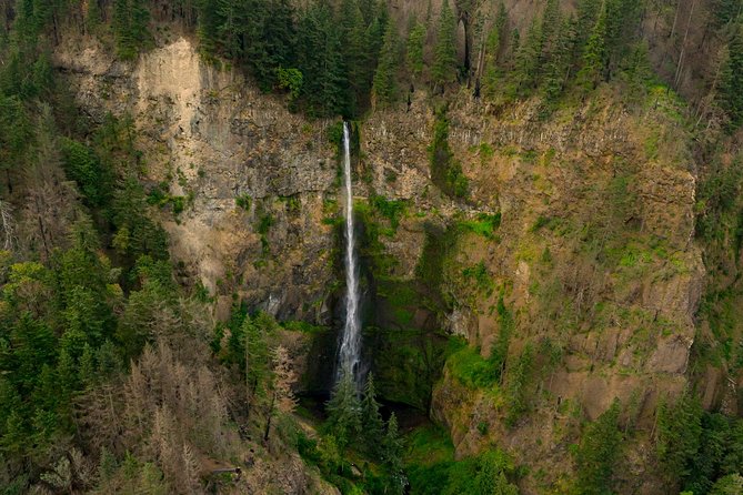 Waterfalls & City Premium Air Tour by Envi Adventures - Sum Up