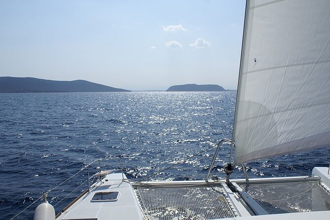 Whale & Dolphin Watching in Tenerife (Puerto Colon) On a Large Catamaran - Catamaran and Open Bar