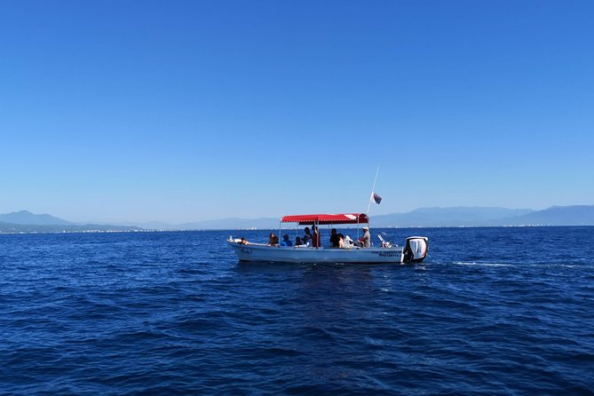 Whale Encounter Puerto Vallarta - Traveler Praise and Ratings