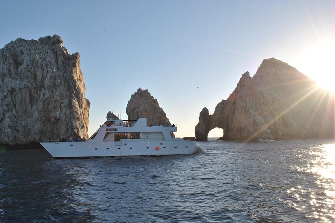 Whale Watching Cruise in Los Cabos - Tips and Recommendations