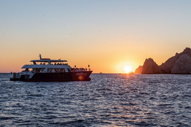 Whale Watching Dinner Cruise in Cabo San Lucas - Customer Feedback and Ratings