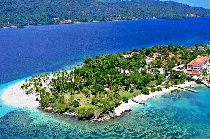 Whale Watching in Samana - Whale Watching Experience