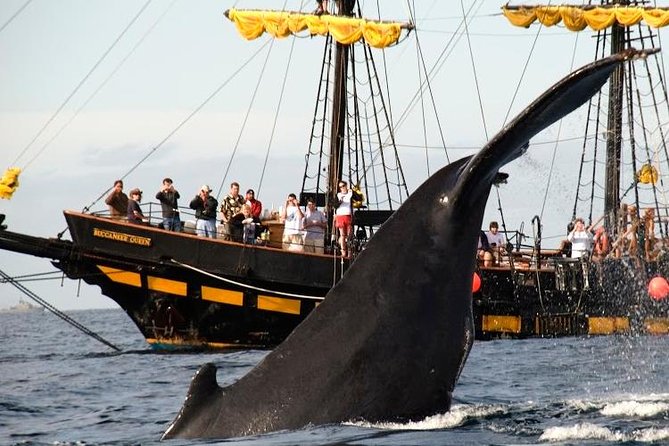 Whale-Watching Pirate Ship Cruise in Los Cabos - Additional Fees