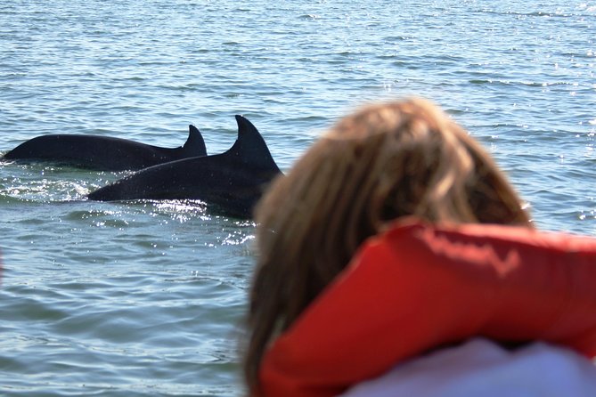 Wild Dolphins Encounter & Snorkeling - Unforgettable Aquatic Adventures