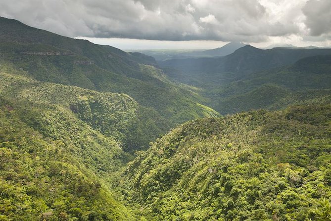 Wild South: Full-Day Tour Incl Rhumerie St Aubin, Bois Cheri Tea Factory & Lunch - Optional Gratuities