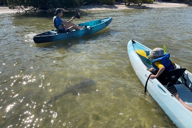 Wildlife Refuge Dolphin, Manatee & Mangrove Kayak or Paddleboarding Tour! - Abundant Wildlife Sightings