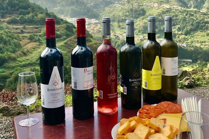Wine Day Tour & Lunch in the Vineyard - The Sum Up