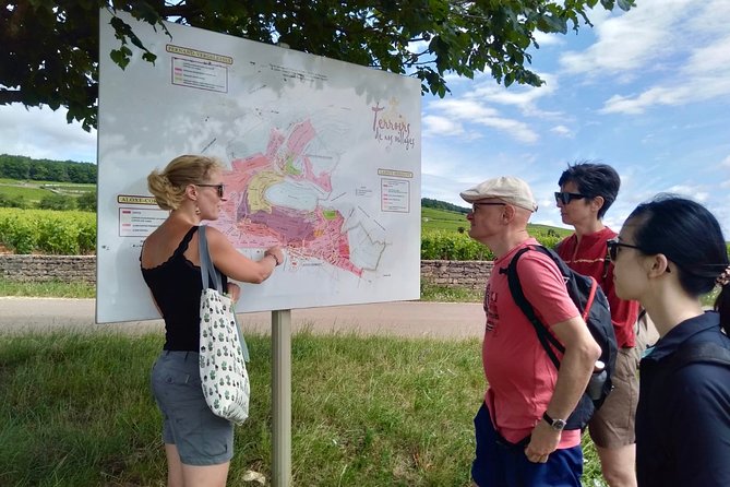 Wine Experience With Tasting in Burgundy - Winery Operations Insights